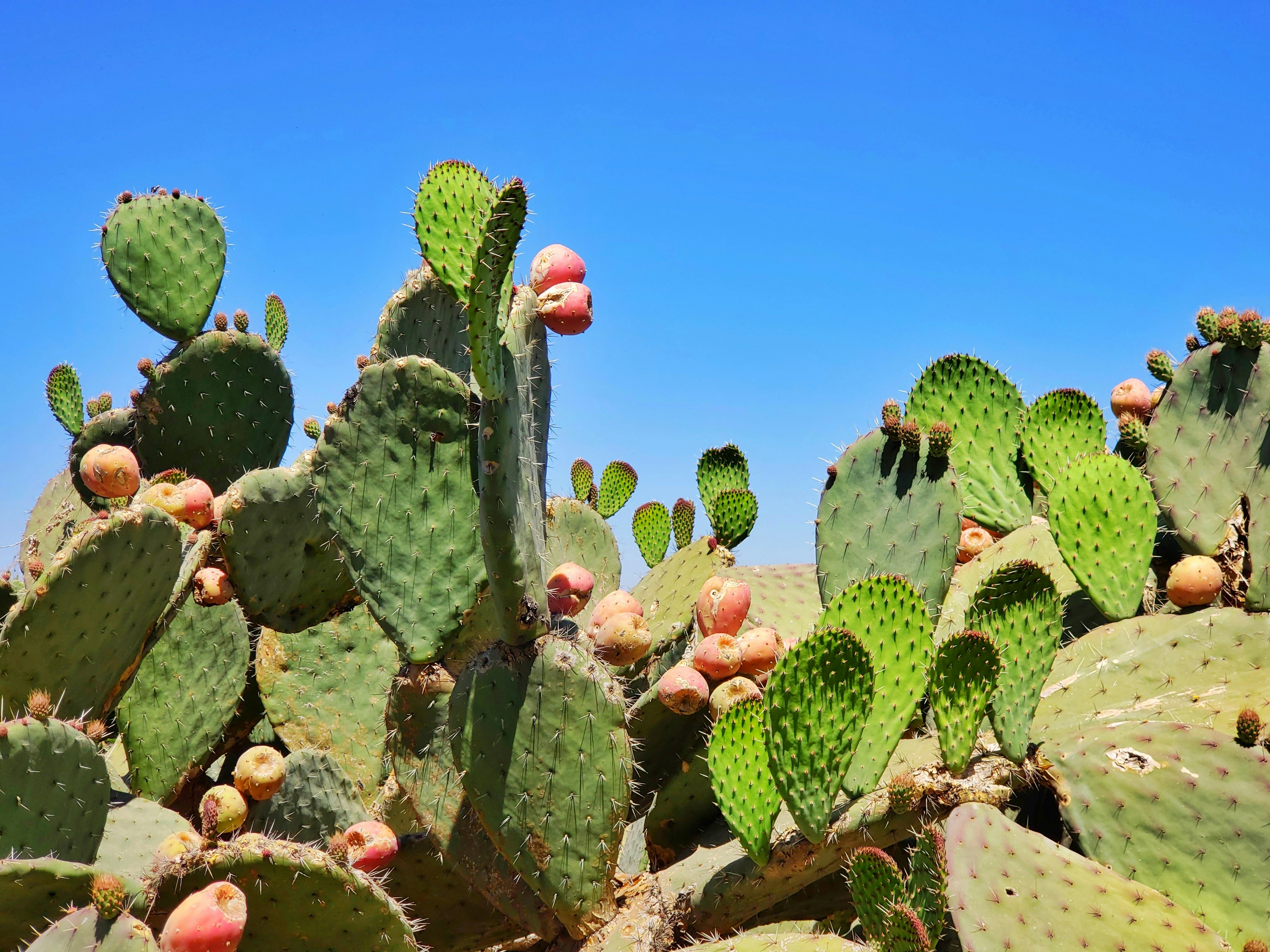 Cottonwood Gulch Expeditions